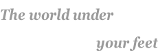 The world under                             your feet